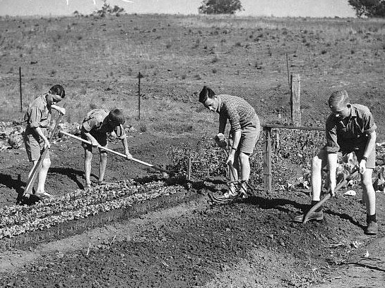 Children working in the gardens at Fairbridge Farm School in Molong.