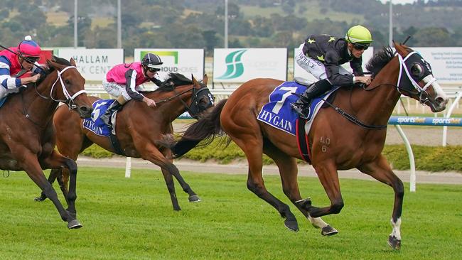 Defiant Dancer salutes at Pakenham this month.