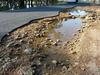 ‘Truckloads of trouble’: Broken roads are costing farmers millions and threaten supply chains