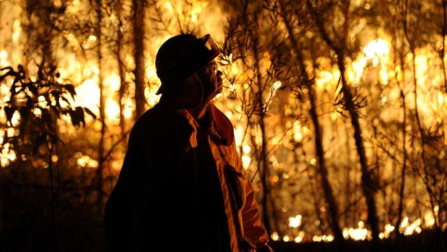A NSW Rural Fire Service firefighter assesses a bushfire burning close to homes in the Blue Mountains last year. Picture: AAP Image/Dan Himbrechts