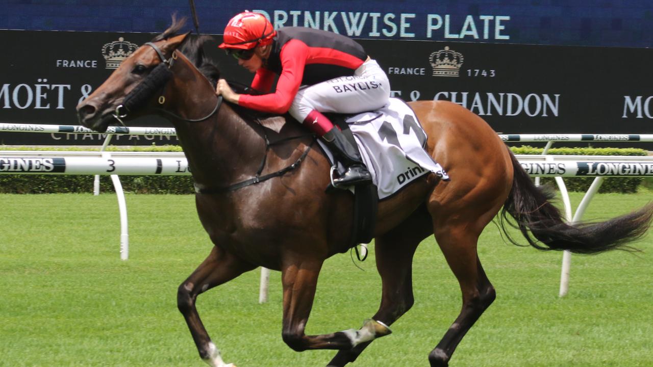 Russian Conquest winning at Randwick on Sunday. Picture: Grant Guy