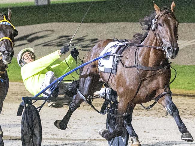 King Of Swing storms to victory in Hunter Cup