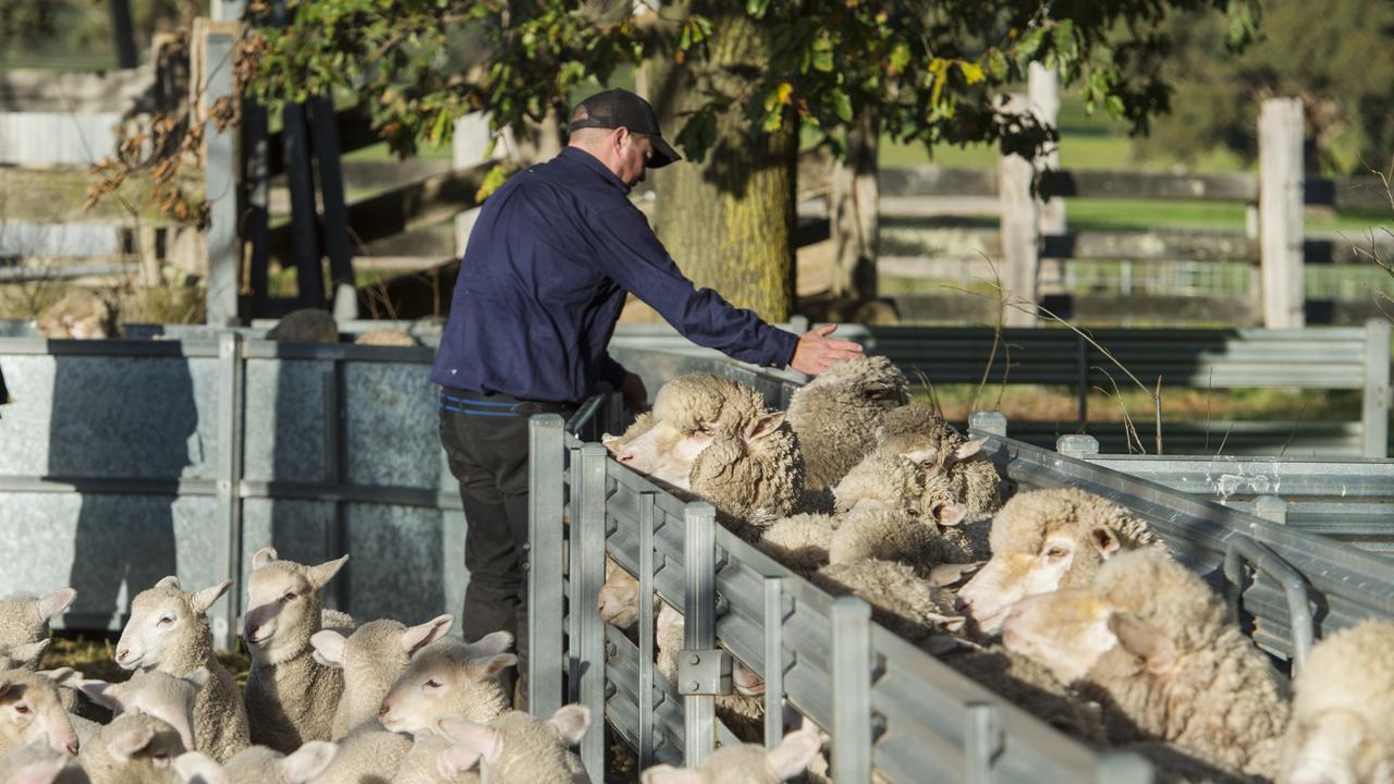 Few farmers are benefiting from carbon credits. Picture: Zoe Phillips