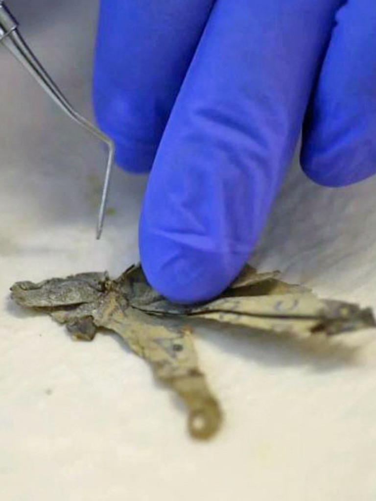 Israel considered the find, which includes a six-millennia-old skeleton of a child, as one of the most significant since the Dead Sea Scrolls. Picture: Shai Halevi/Israeli Antiquities Authority/AFP