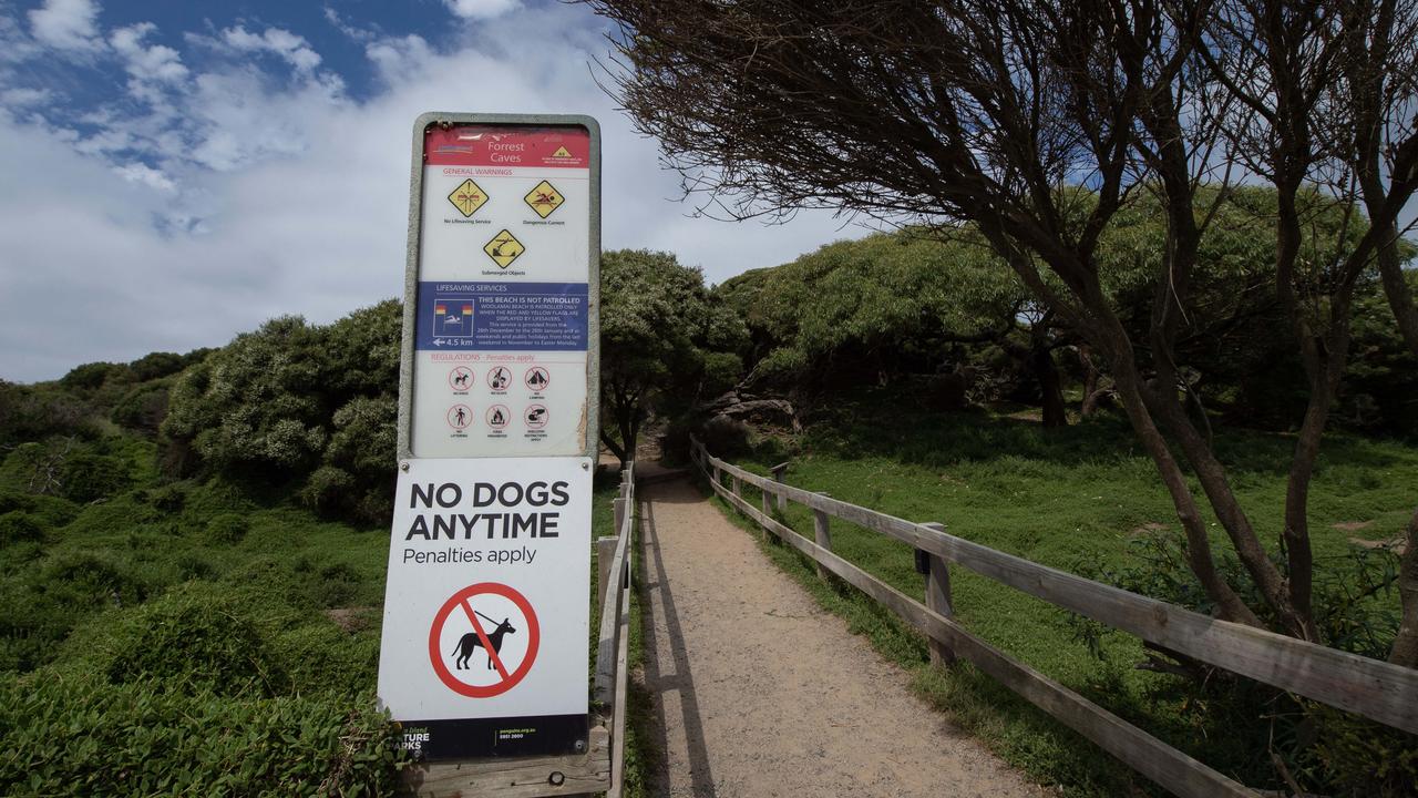 There was a warning sign at the carpark. Picture: NewsWire / Nicki Connolly