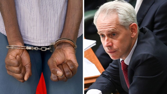 The Federal Court has ruled against an order from ex-immigration minister Andrew Giles. Picture: NewsWire / Martin Ollman