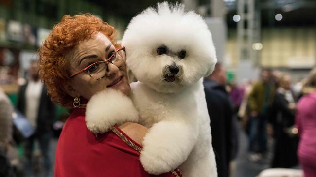 Breed discrimination is a thing. Just ask the people at Crufts. Picture: Oli Scarff/AFP