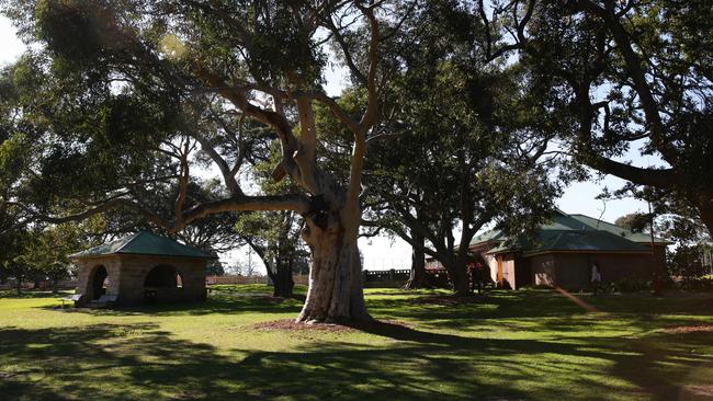 St Leonards Park is a popular spot for locals. Picture: Annika Enderborg