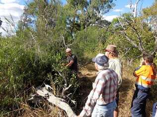 LANDCARE WORKSHOP: Scott Hall will be back in Mundubbera in late March for a syntropic agroforestry workshop. Picture: Contributed