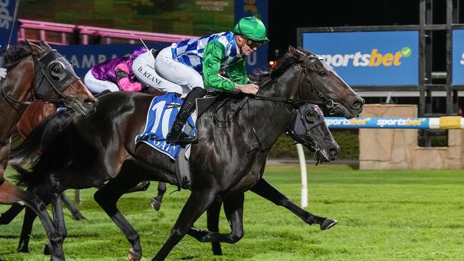 Consistent mare Grid Girl steps up to her favourite distance at Wednesday's Sandown meeting. Picture: Racing Photos