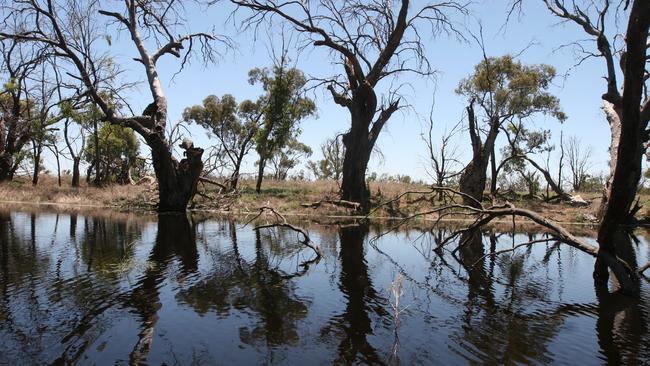 The River Murray … SA Water uses the cheapest water first, which is taken from reservoirs or the River Murray.