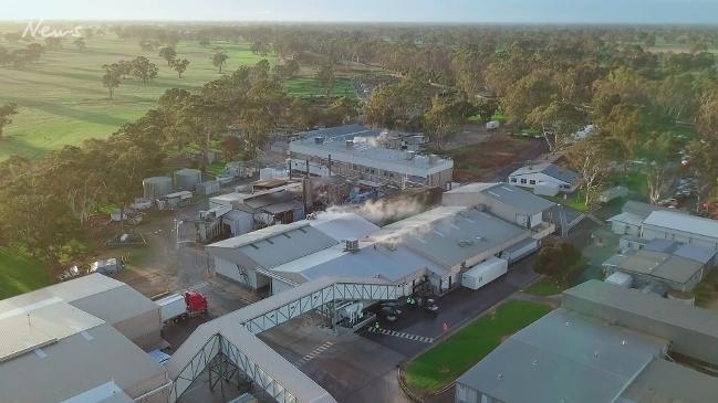 Teys Australia invest $30mil into Naracoorte facility