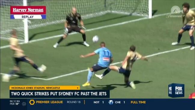 Sydney FC put two goals past Jets