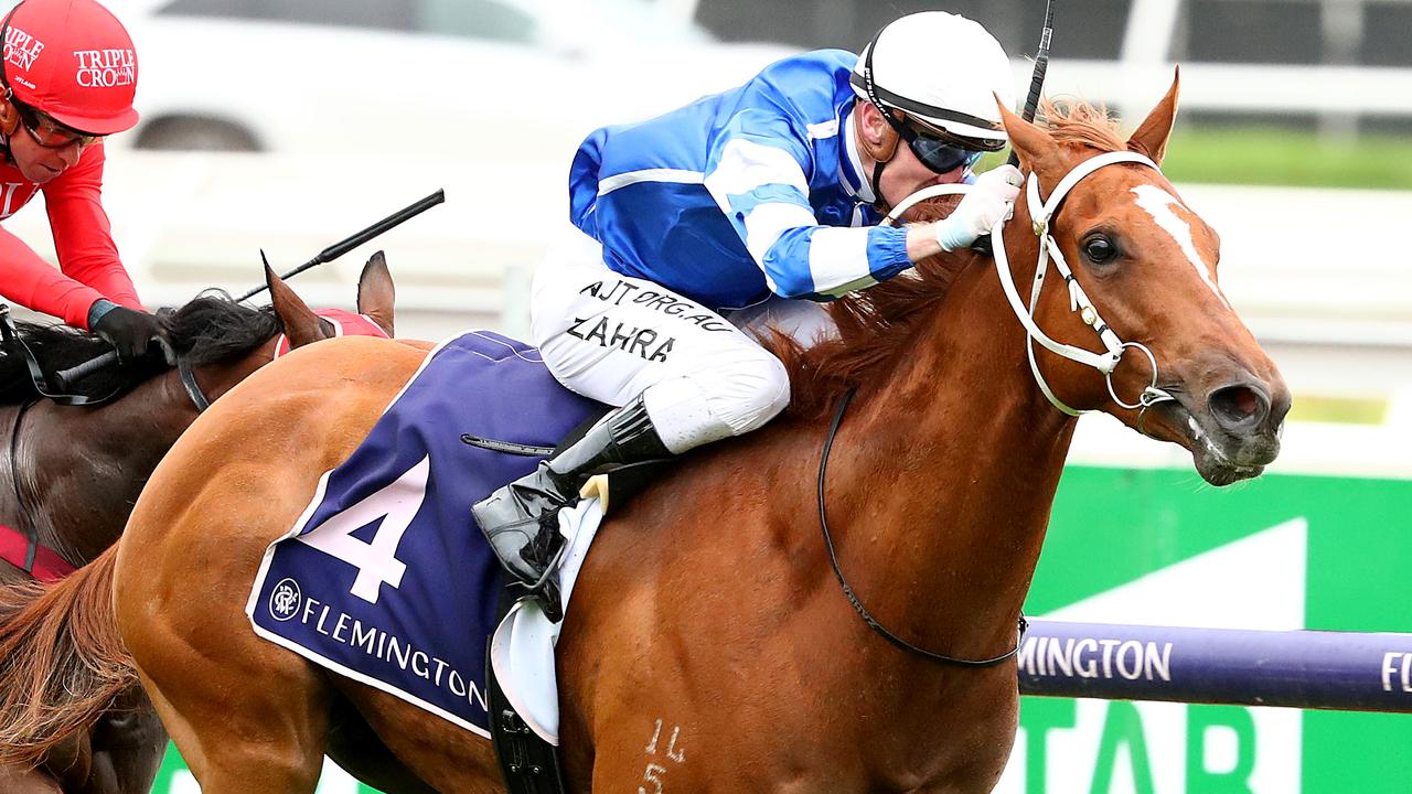 Gytrash will start his spring campaign in the Concorde Stakes at Royal Randwick. Picture: Getty Images