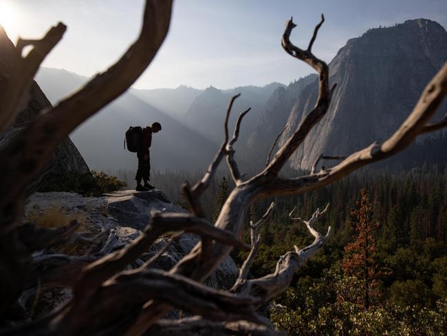 Alex Honnold at the base of El Capitan in Yosemite National Park.