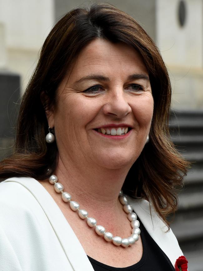 Liberal Party MP Roma Britnell. Picture: Nicole Garmston