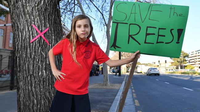 Amber, 10, is protesting to save 11 North Terrace trees from getting the axe. Picture: AAP / Keryn Stevens