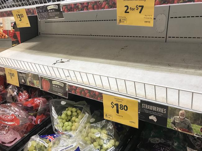 Six brands of strawberries are believed to have been targeted in a needle sabotage spanning four states, with police unsure if it is the same ploy or a copycat. Picture: Dan Peled