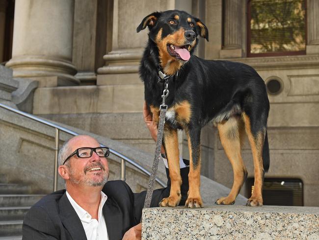 10/09/20 - Leon Bignell MP and his Australian Kelpie Dusty out the front of Parliament House on North Terrace. Picture: Tom Huntley