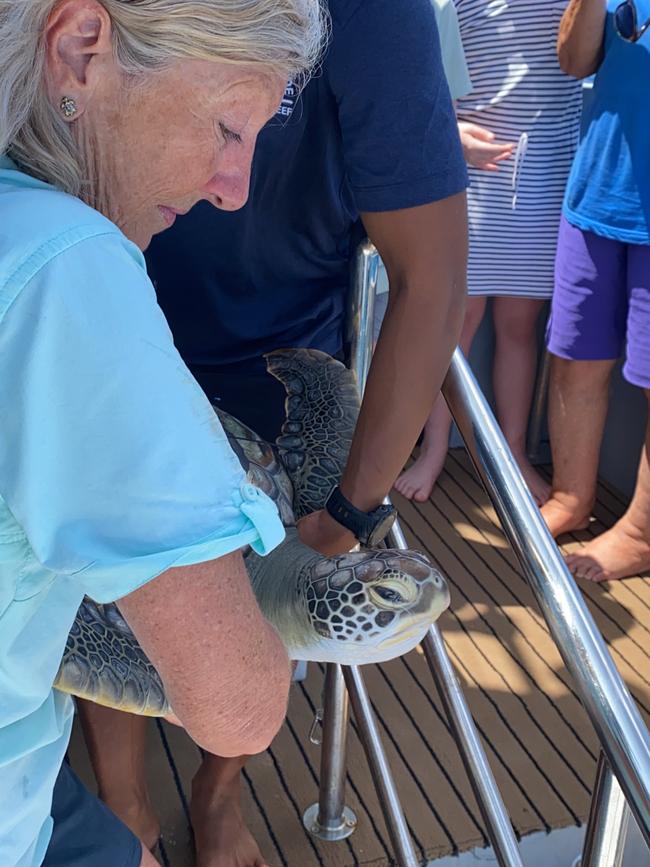 Cairns Turtle Rehabilitation Centre co-founder Jennie Gilbert releasing a green sea turtle on the Great Barrier Reef. Photo: Supplied