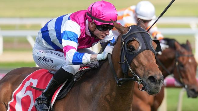 Dropping back to 1400m will suit consistent galloper Eye Of The Eagle at Caulfield on Saturday. Picture: Racing Photos via Getty Images