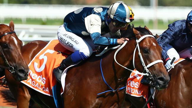 Tagaloa is the new Golden Slipper favourite after drawing well in gate six. Picture: Getty Images