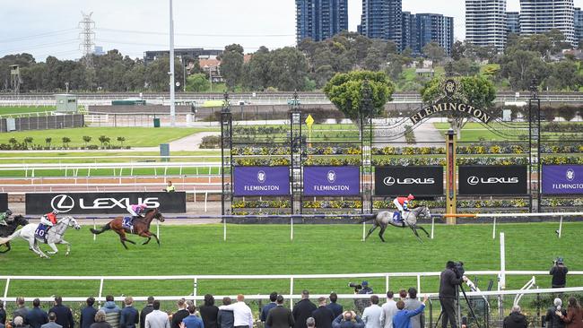 Berkshire Breeze (IRE) ridden by Ethan Brown wins the RDAV Sally Francis Plate at Flemington Racecourse on June 08, 2024 in Flemington, Australia. (Photo by Reg Ryan/Racing Photos via Getty Images)