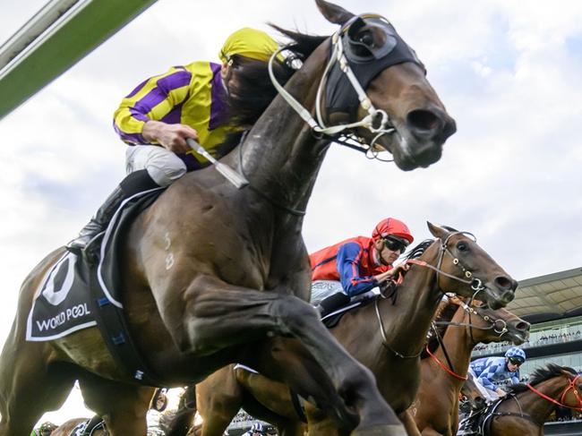 Race 10 - Royal Randwick, 19 October 2024, Winner - Willaidow. Picture: Bradley Photos