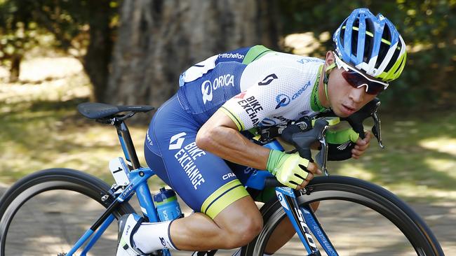 OGE pocket rocket Caleb Ewan. Picture: Michael Klein