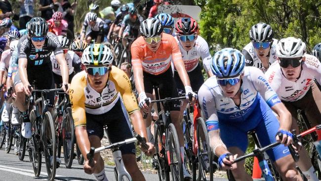 Australian rider Jay Vine from UAE Team Emirates (C) rides in the peloton during stage five of the Tour Down Under UCI cycling event in Adelaide on January 22, 2023. (Photo by Brenton EDWARDS / AFP) / -- IMAGE RESTRICTED TO EDITORIAL USE - STRICTLY NO COMMERCIAL USE --