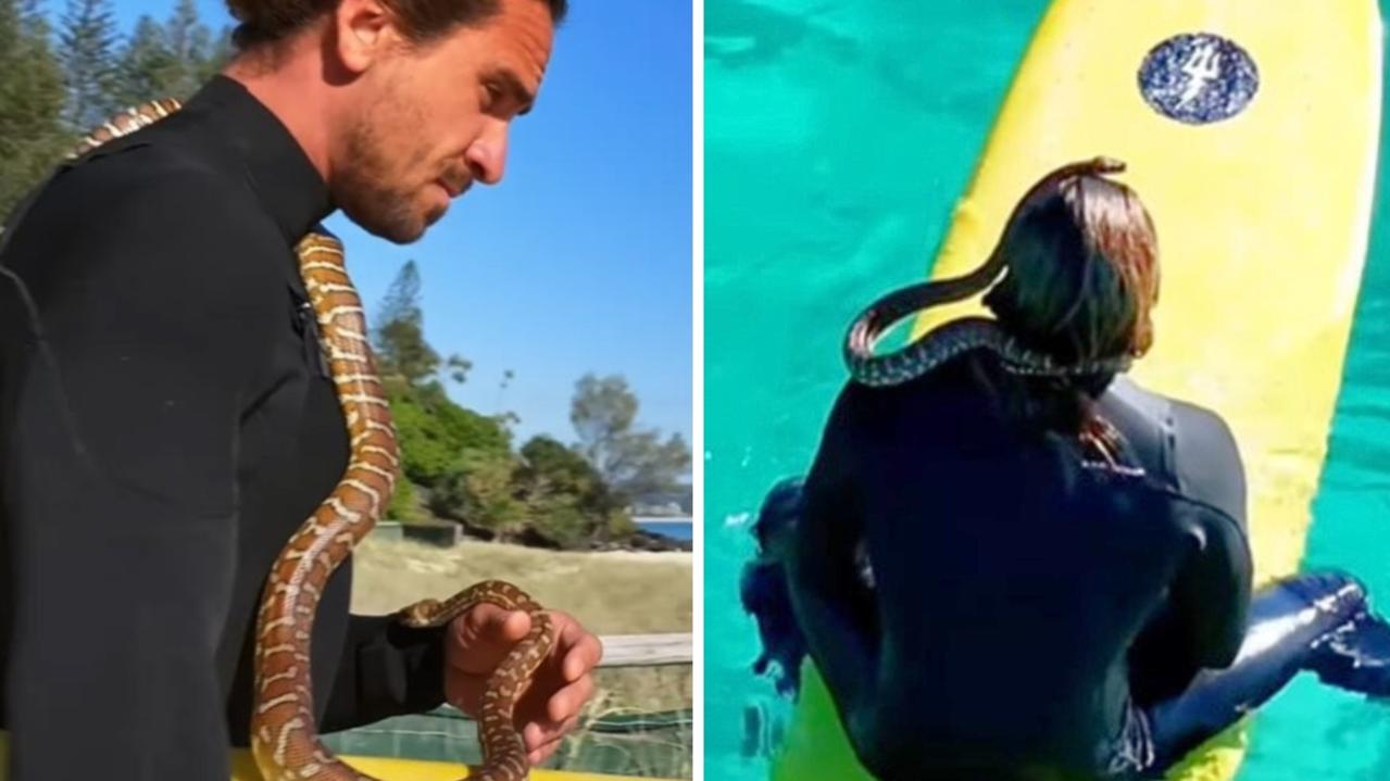 Aussie fined for surfing with pet snake