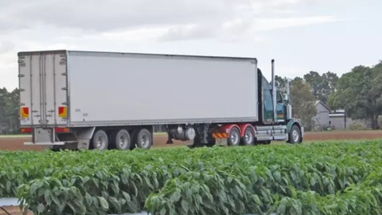 Barbera Farms has grown zucchinis, capsicums and tomatoes in the Bundaberg region for almost 50 years.