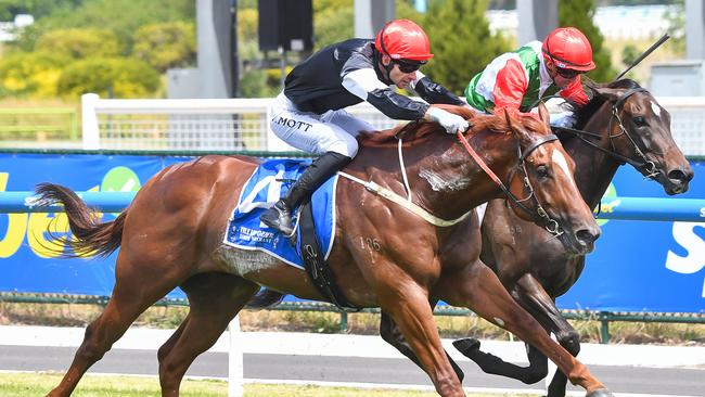 Royal Insignia, ridden by Jamie Mott, wins at Caulfield Heath. Picture: Pat Scala/Racing Photos via Getty Images