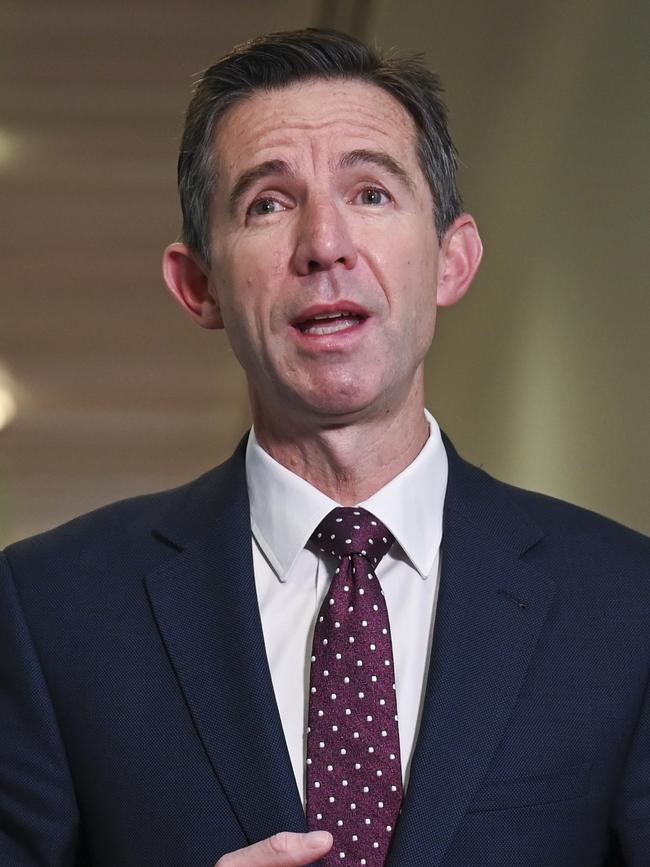 Opposition foreign affairs spokesman Simon Birmingham. Picture: NewsWire / Martin Ollman