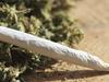 Bendigo dealer busted because he couldn’t sell drugs