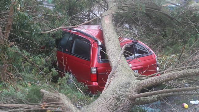 Suncorp advises homeowners to tie down loose backyard objects ahead of storms, keep trees trimmed, and park vehicles in cover. Picture: NCA NewsWire / David Crosling