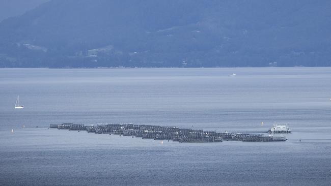 Salmon farming pens in the channel between Margate and Bruny Island. Picture: LUKE BOWDEN