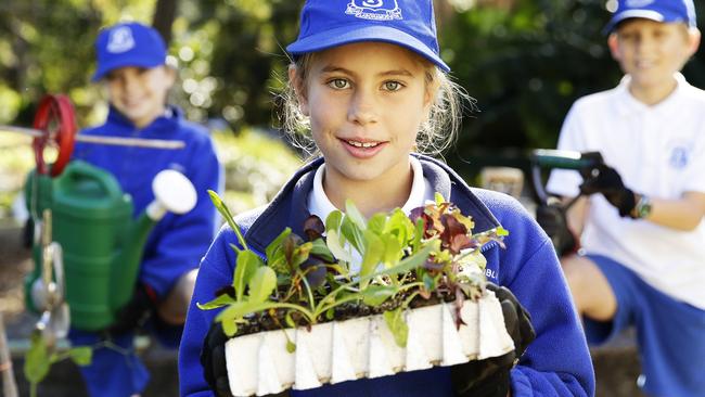 Kayla Ross 9, Olivia Butler, 9, (centre) and Cooper Smith, 9, enjoy a gardening lesson at Seaforth Public School. Picture: Braden Fastier