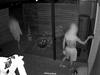 Ultimate list: The suburbs most likely to be hit by car theft crims