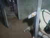 No punishment for SA abattoir after horror camera footage