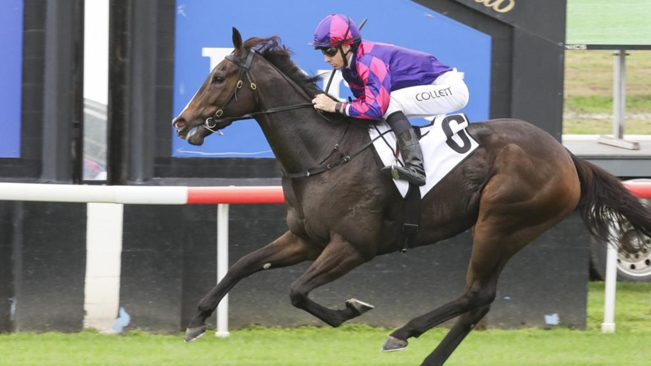 ‘She’s a nice filly’: Freedmans’ Brave call at Rosehill