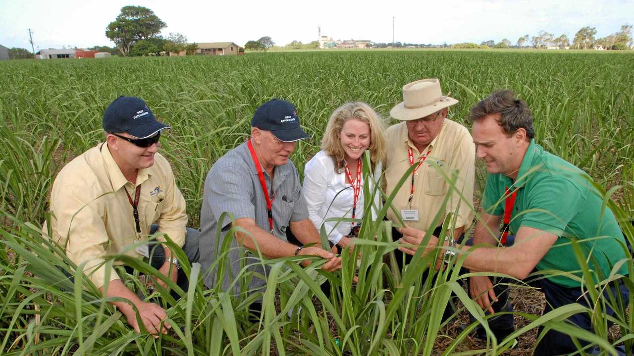 Dermot O&#39;Gorman, right, with, from left Rob Cocco, Robert Quirk, Natasha Schwwarzbach and Royce Bishop. Picture: Peter Holt