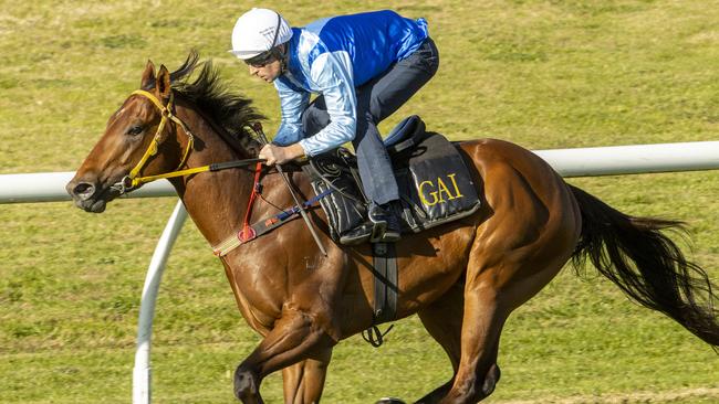 Farnan is in doubt for The Everest after pulling up mildly lame. Photo by Mark Evans/Getty Images