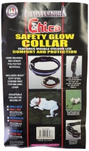 The light up collars and leashes were sold at Supercheap Auto and Autobarn.