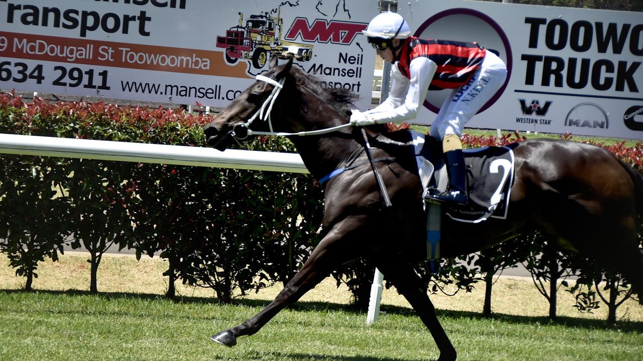 Mr Marbellouz will head to Warwick for the Magic Millions County Cup Qualifier. Photo: Bev Lacey