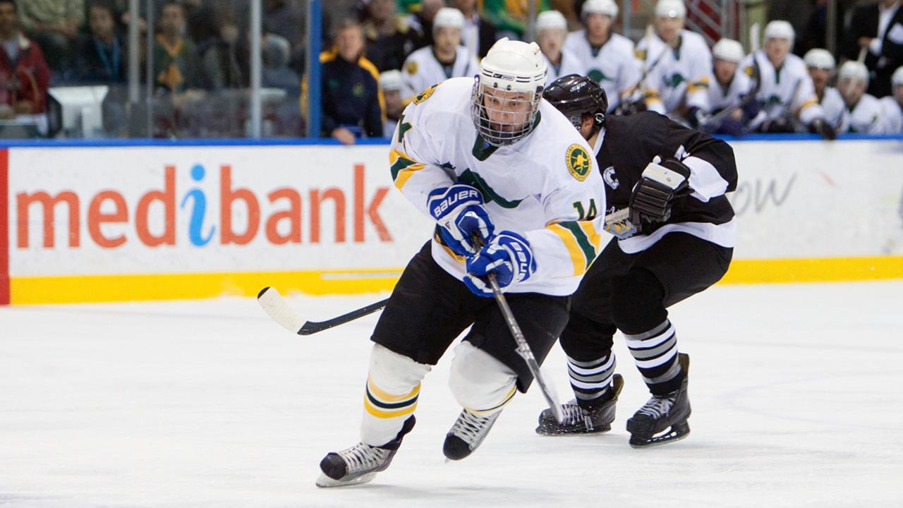 Hershey Bears 2013-14 preview: New head coach Mike Haviland's