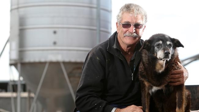 Brian McLaren and his dog Maggie, Woolsthorpe. Picture: Yuri Kouzmin.