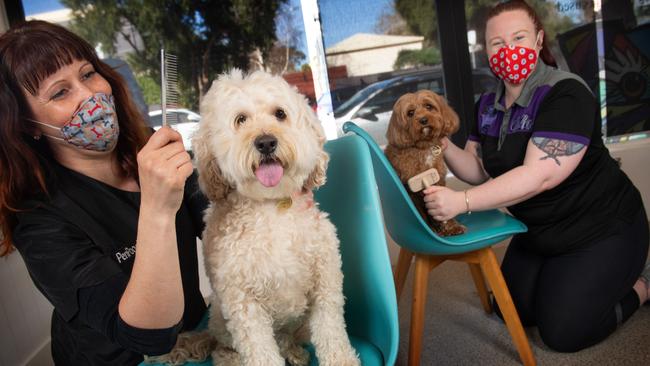 Penella Etyngold, pictured with Chloe Lorimer, Marlie and Max, has offered to share some space in her shop with mobile dog groomers who are still unable to work due to COVID restrictions. Picture: Tony Gough