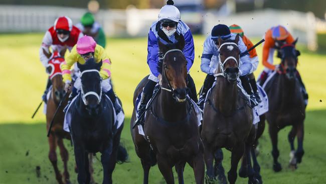 Steely looks ideally suited over 1600m in Big Dance Wild Card. Picture: Getty Images