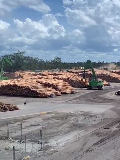 The timber yard of Hyne Timber's Tuan Mill. Photo: Stuart Fast